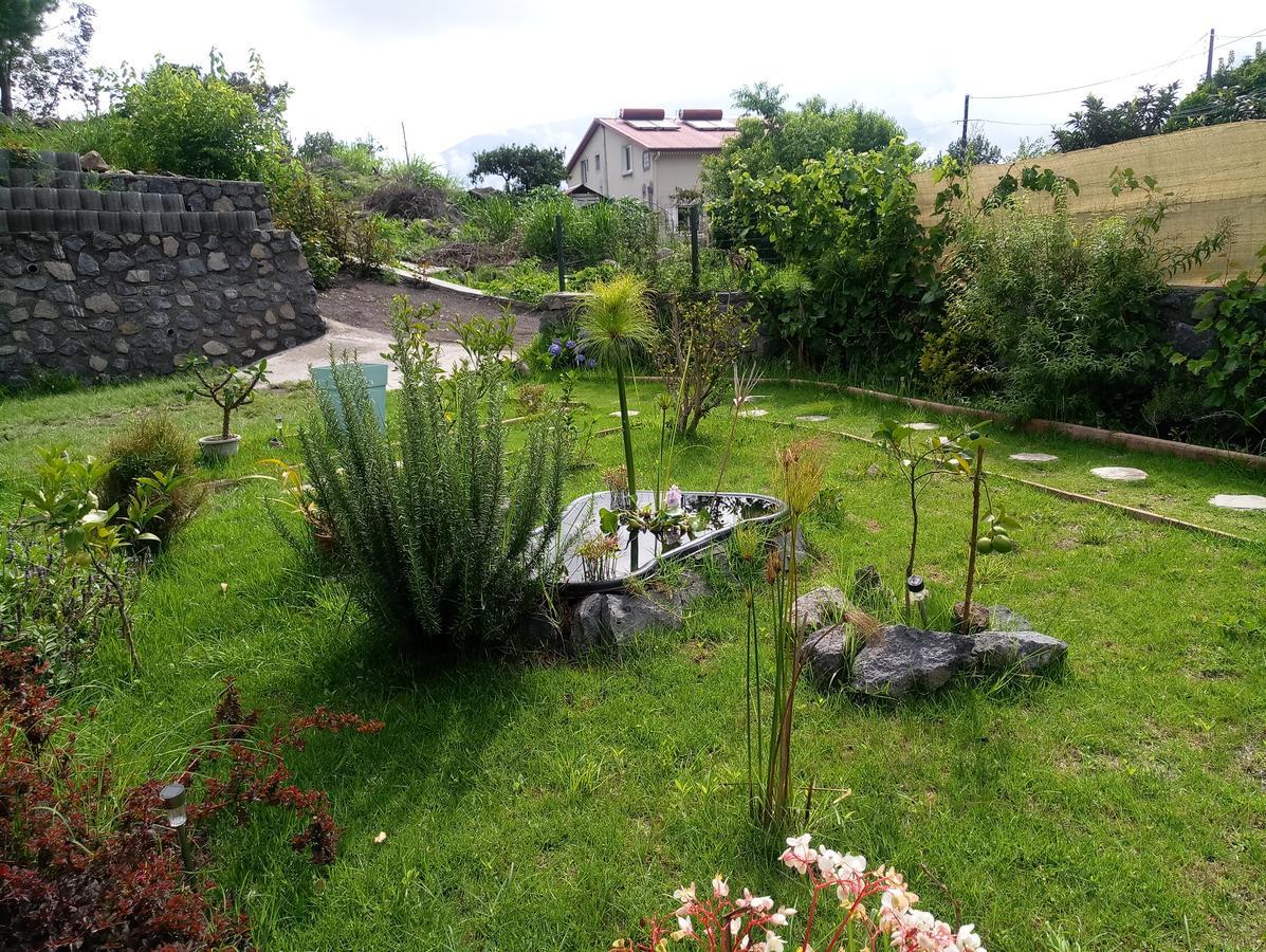 Les Jardins Creoles Apartment Cilaos Luaran gambar
